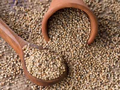 Sajje_DSC5025_218b0c41-83be-4f78-a74a-0c79b69fa69d